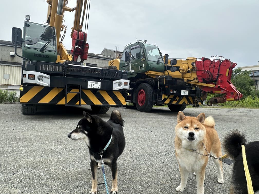 ラフタークレーン